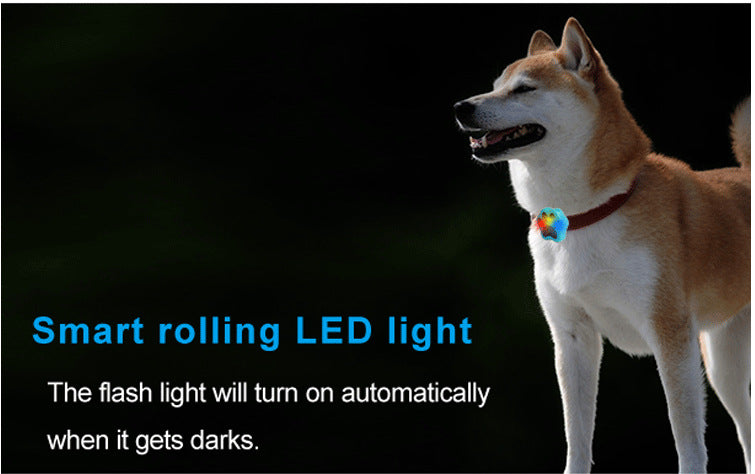 Dog Pet Collar Anti Loss Locator