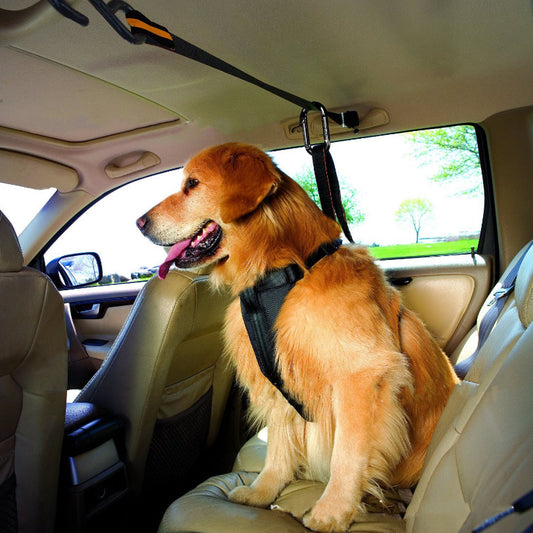 Pet Safety Belt Dual Car Lanyard – Adjustable Dog Seat Belt for Secure Travel