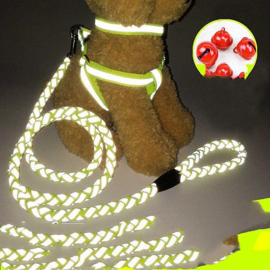 Luminous Neon Dog Leash – Glow-in-the-Dark Safety Leash for Night Walks