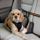 Pet Safety Belt Dual Car Lanyard – Adjustable Dog Seat Belt for Secure Travel