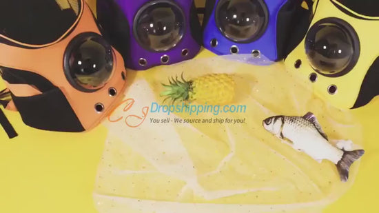 Pet Astronaut Capsule